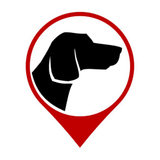 Dognav.pro